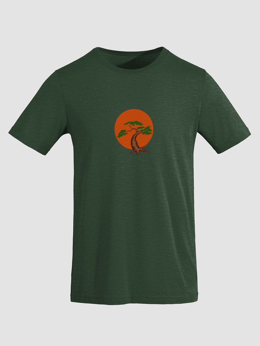 Sunlit Tree Triblend Tee product image (3)