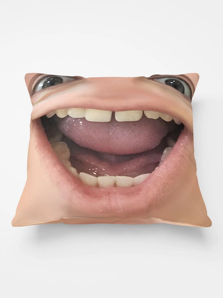 fraserDerp Pillow product image (1)
