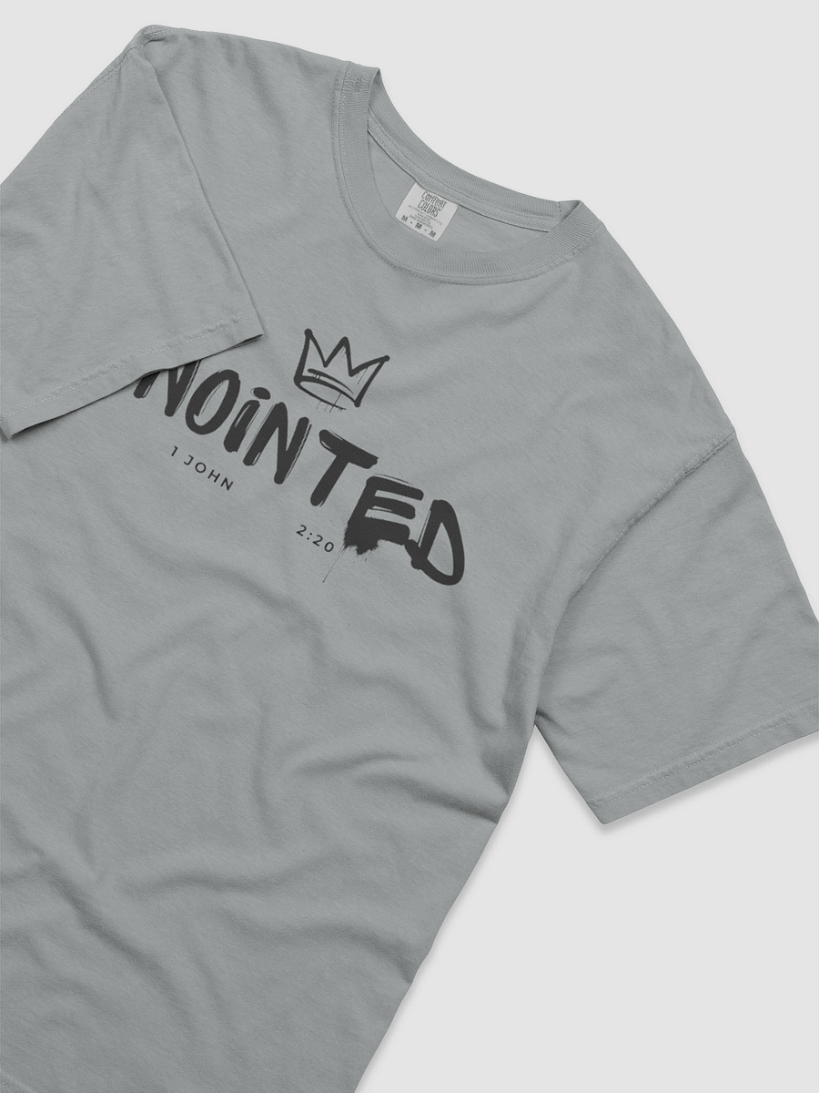 anointed t-shirt 🩶 product image (3)