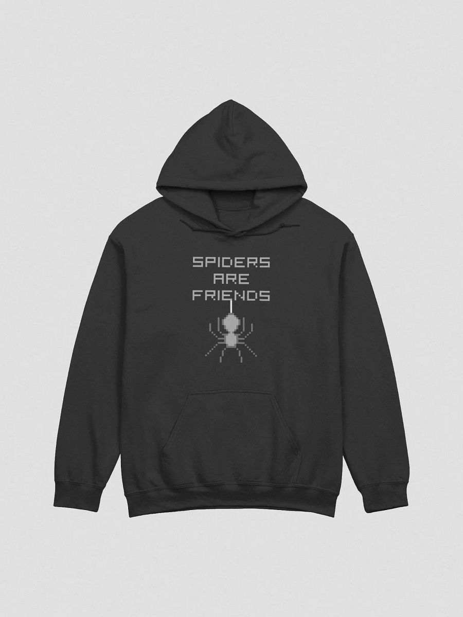 Hoodie - Spiders are Friends product image (2)
