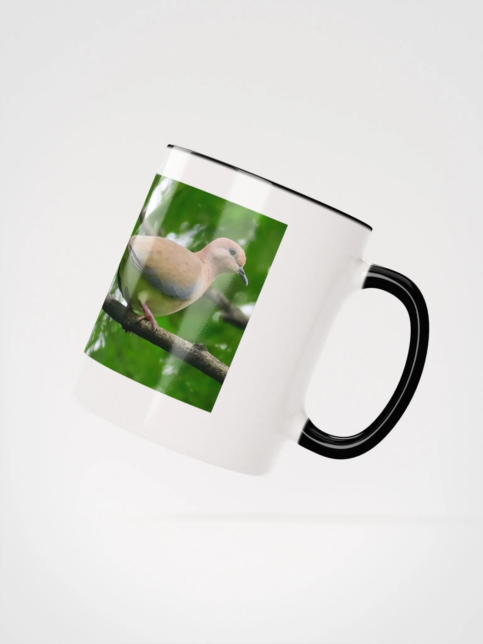 IUCAA Birds MUG product image (16)