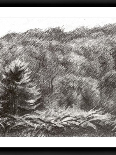 Beek – 21-07-19 product image (12)