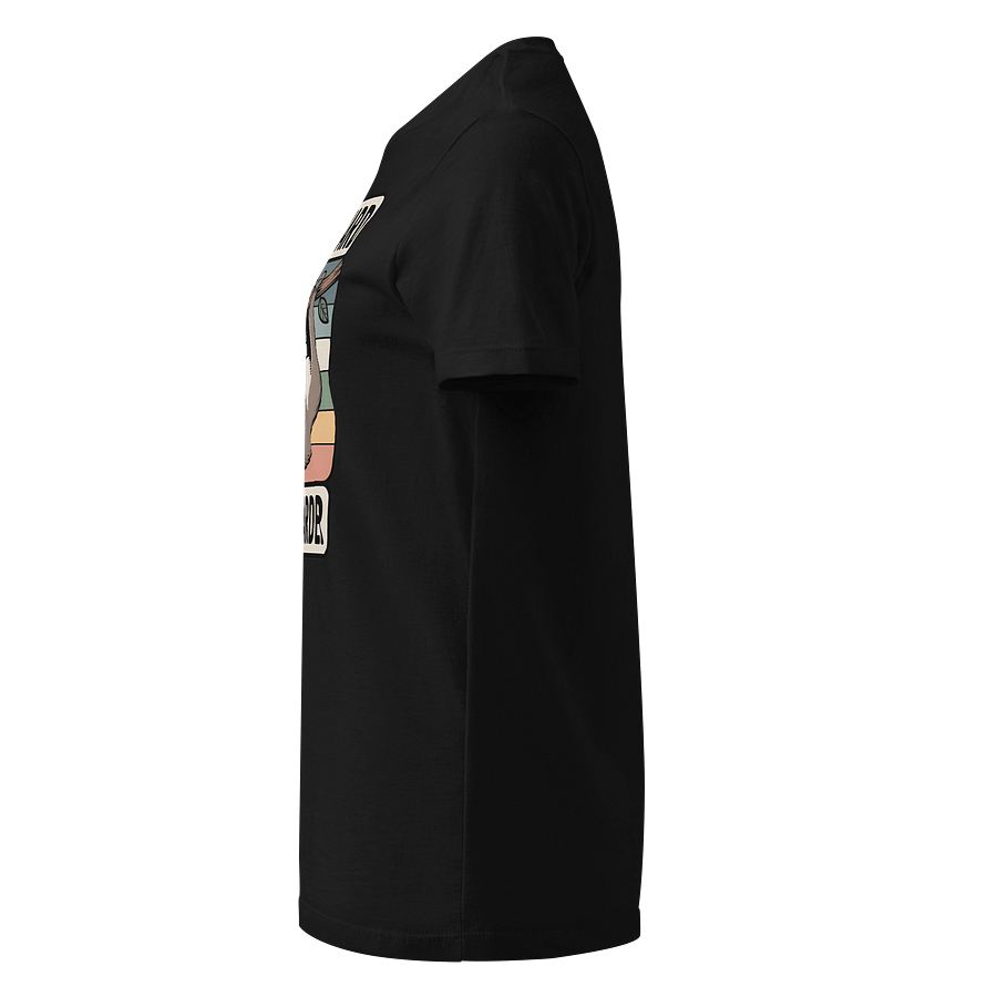 Work Hard Nap Harder Non-Sacral Tshirt (Female Fit) product image (5)