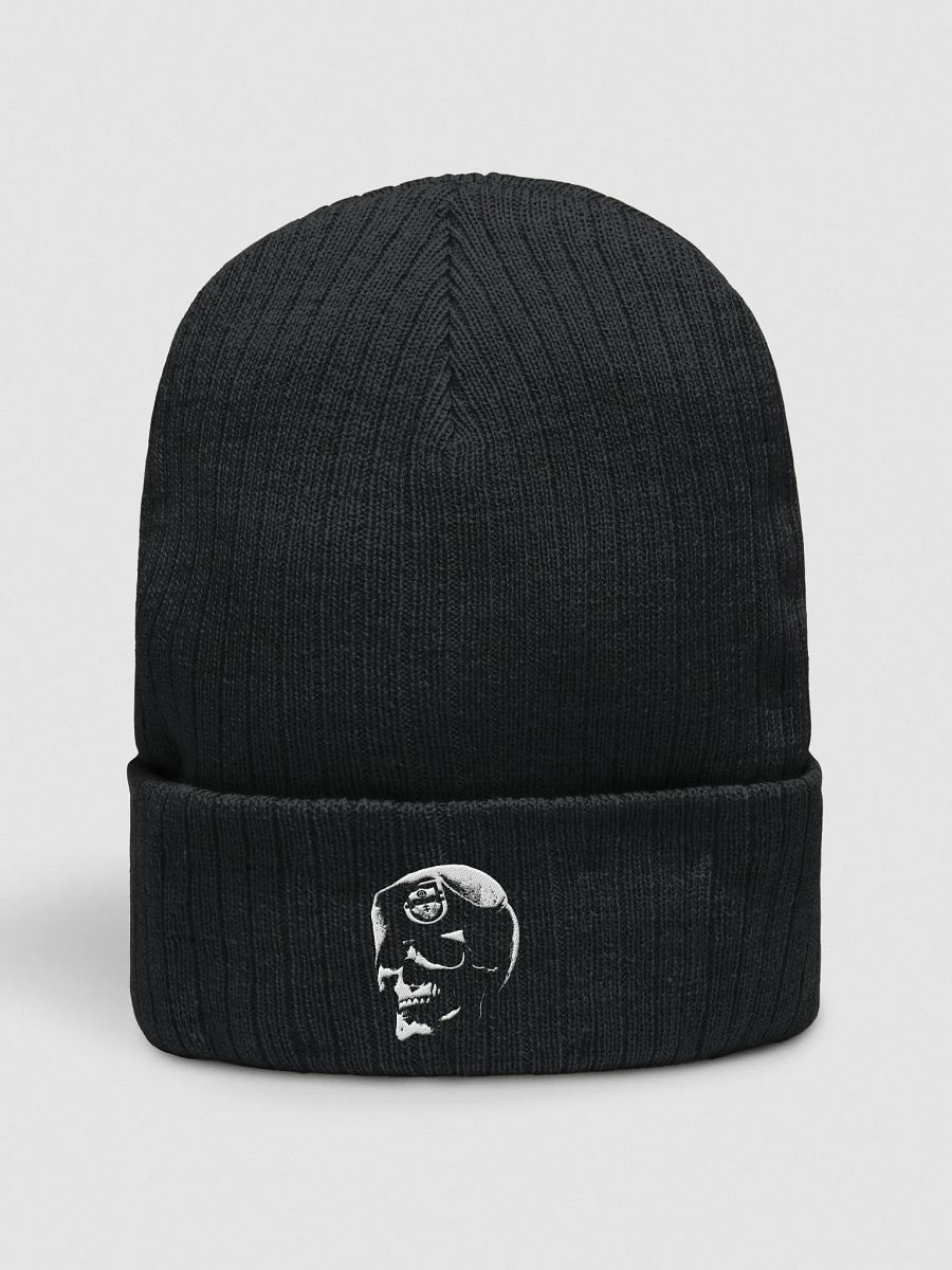 Skull Beret Subdued Beanie product image (3)