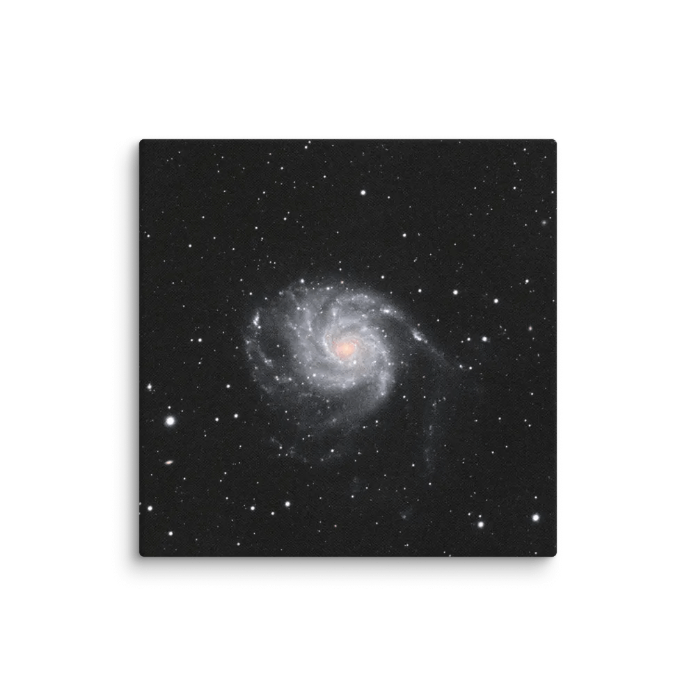 2025 - M101 by Eduardo Glasman product image (4)