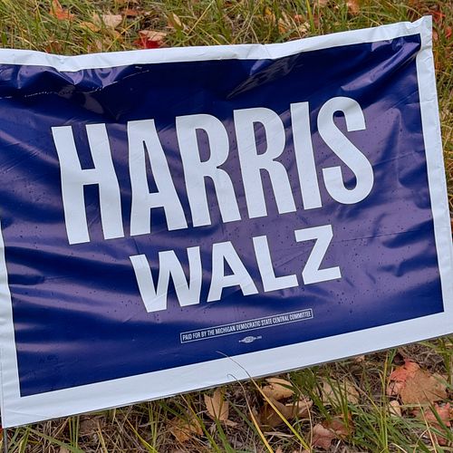 popping back on this account to remind everyone to vote 💙
(I already have) 

#govote #voteblue #harriswalz2024