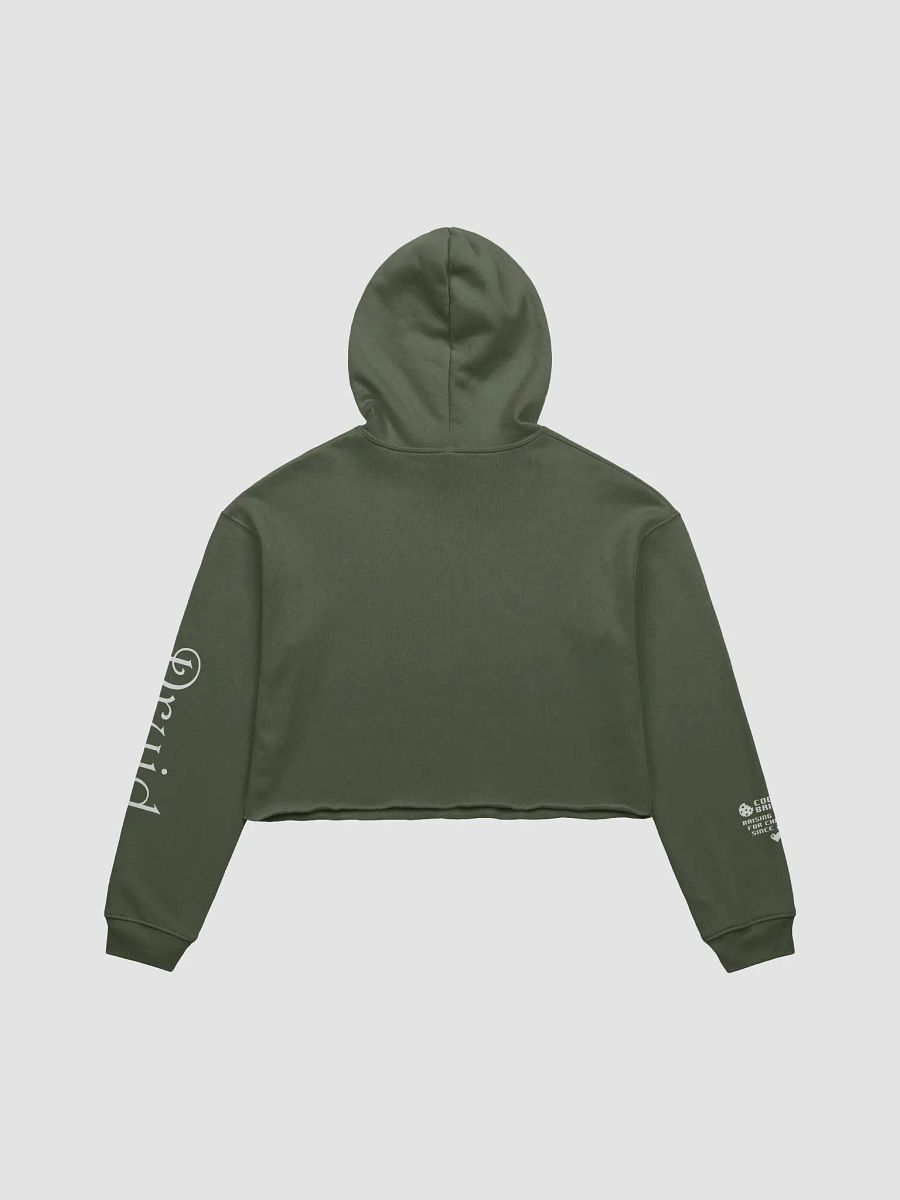 Druid Cookie Cropped Hoodie product image (6)