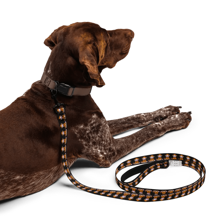 Dog Leash product image (5)