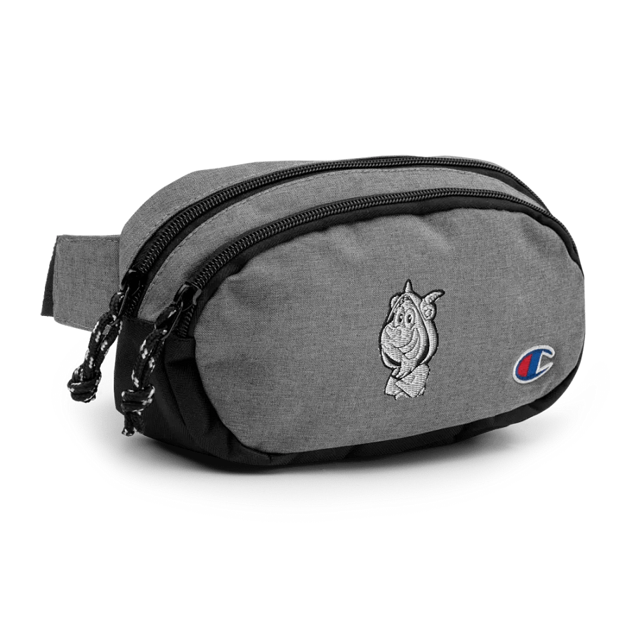 TLG FANNY PACK product image (3)