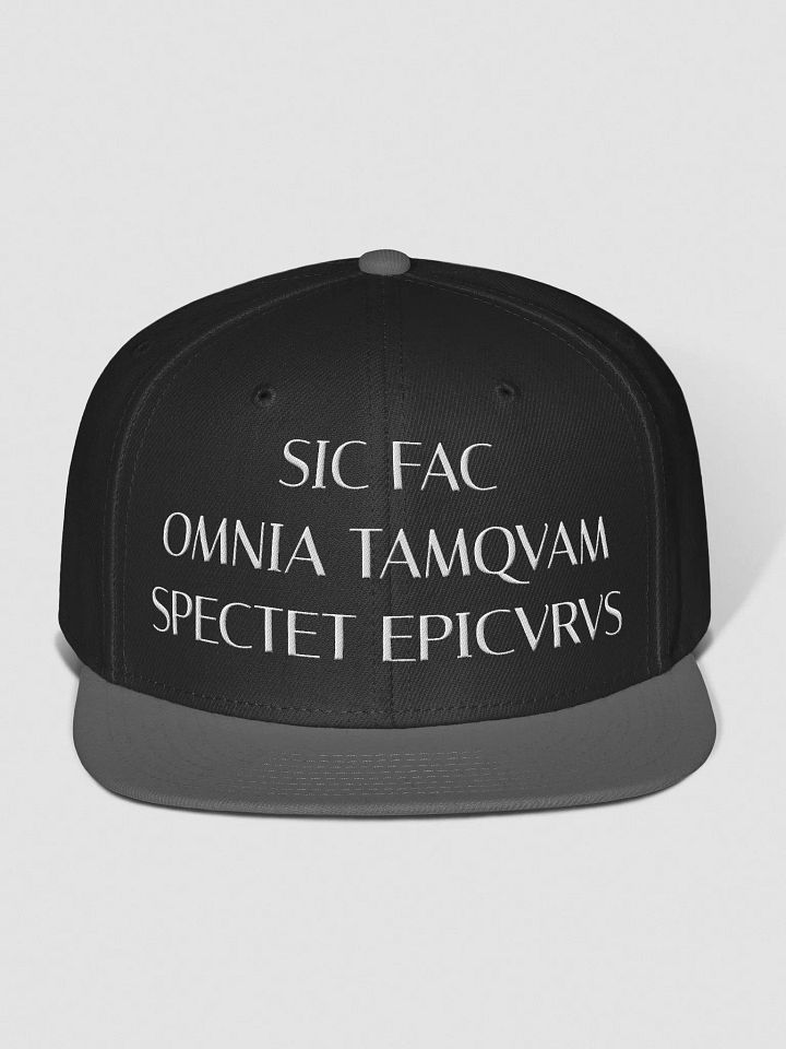 SFOTSE LIGHT (Otto Wool Blend Snapback Cap) product image (2)