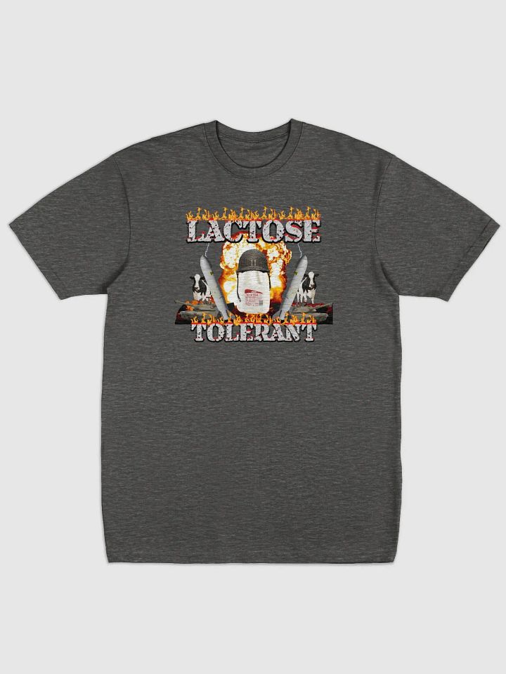 The Lactose Tolerant Gamer product image (2)