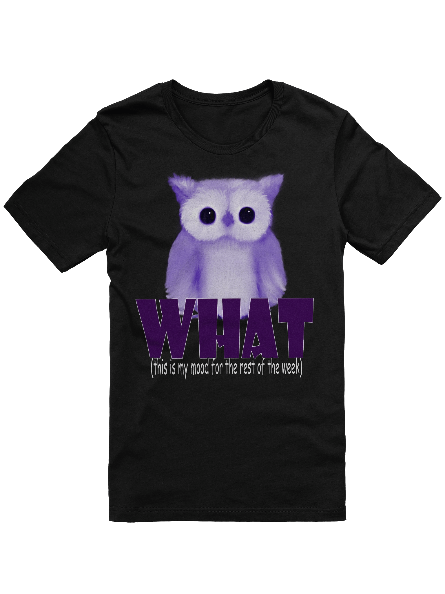 Whimsical Owl Mood T-Shirt product image (1)