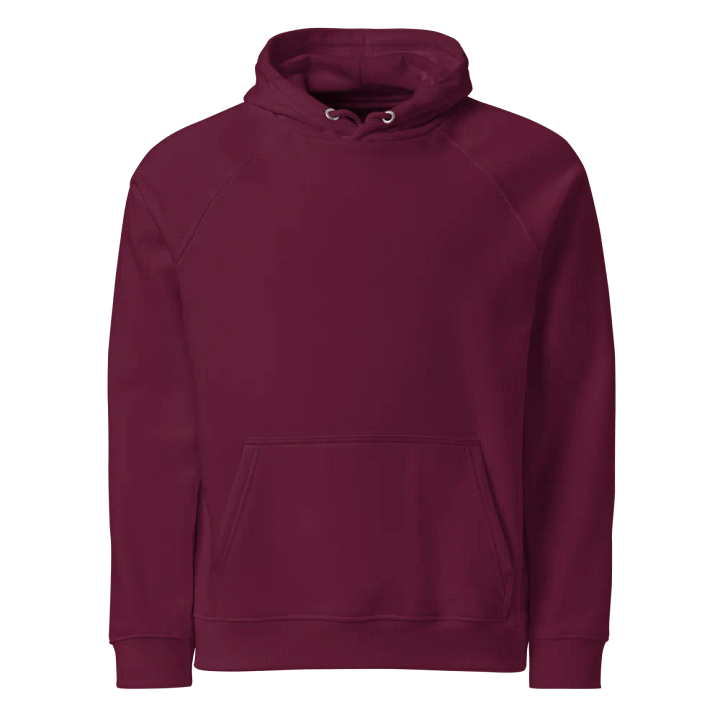 CF Unisex Eco Raglan Hoodie product image (1)