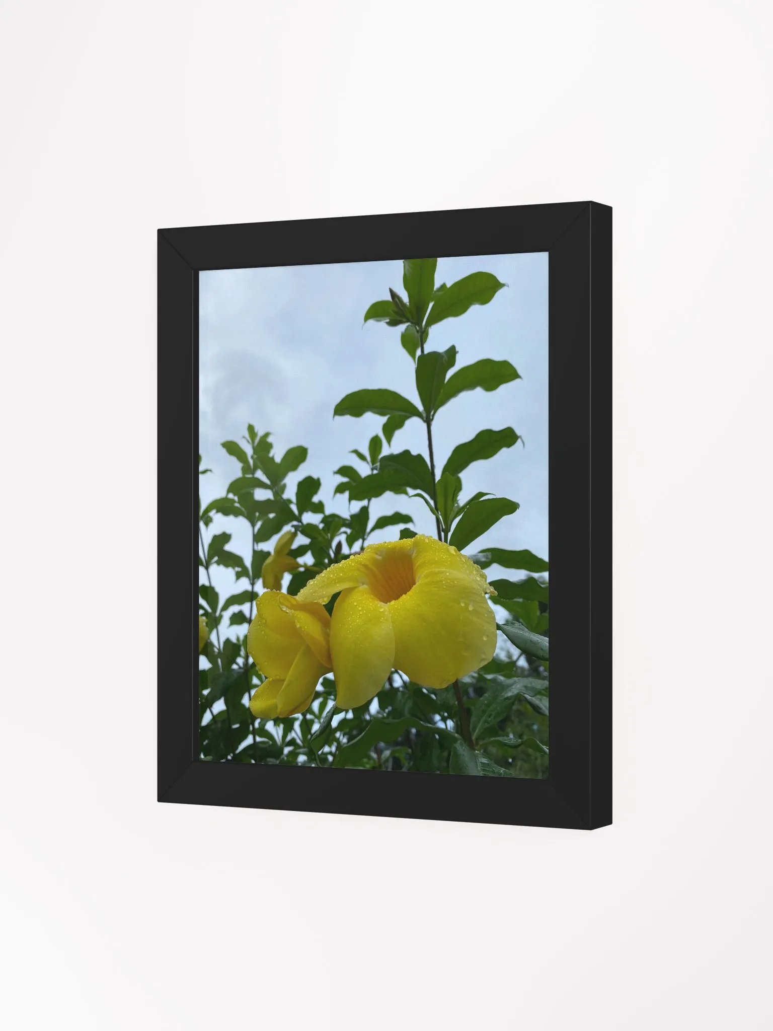 Yellow Bell Flower product image (11)