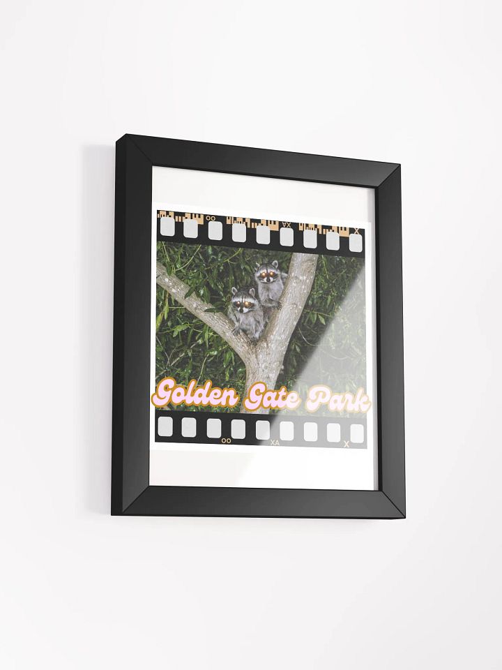 Golden Gate Park Raccoons Framed Poster Print product image (2)