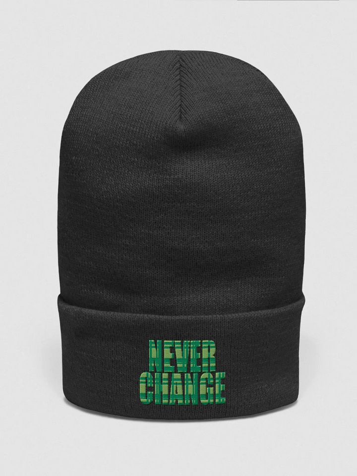 Never Change Beanie product image (1)