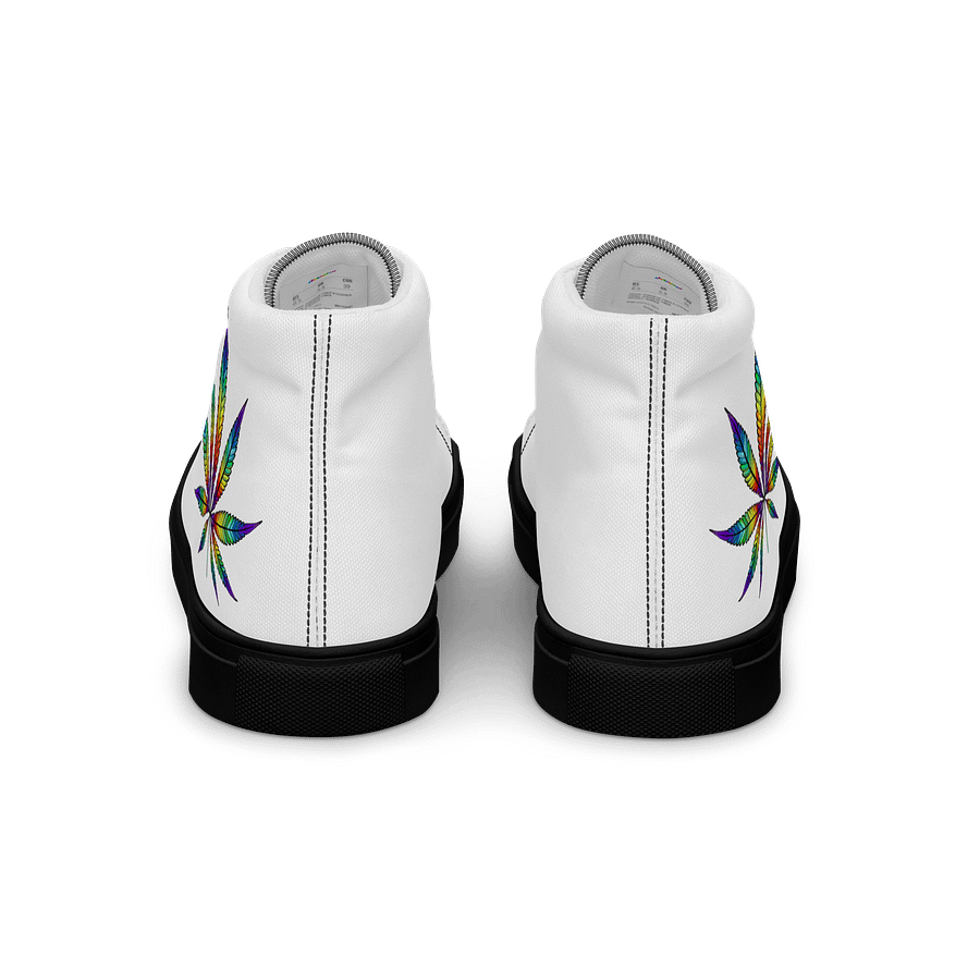 rainbow pot mens shoes product image (3)