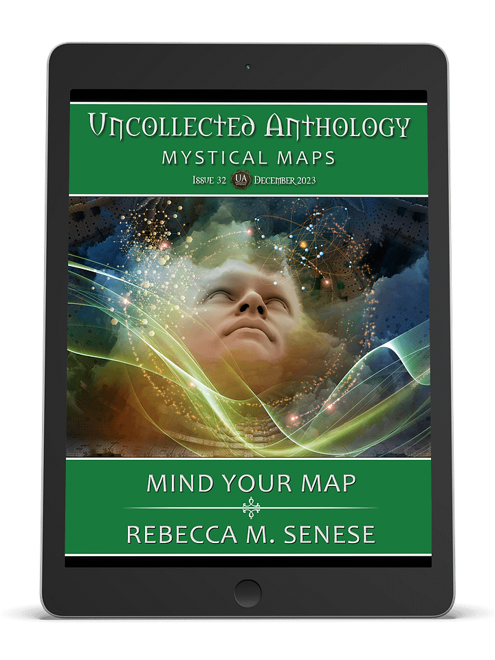 Mind Your Map product image (1)