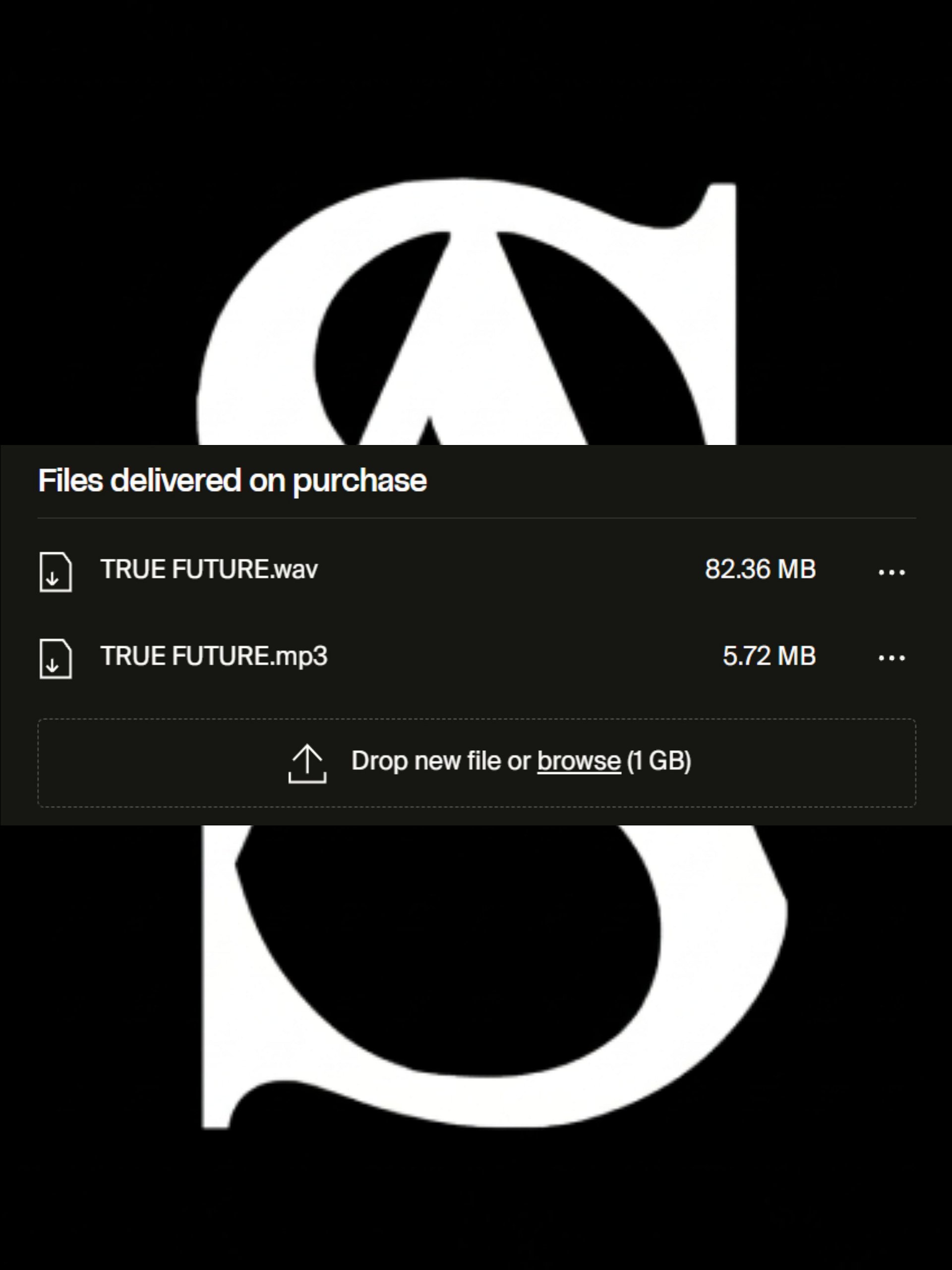 TRUE FUTURE (p. t2yung) product image (2)