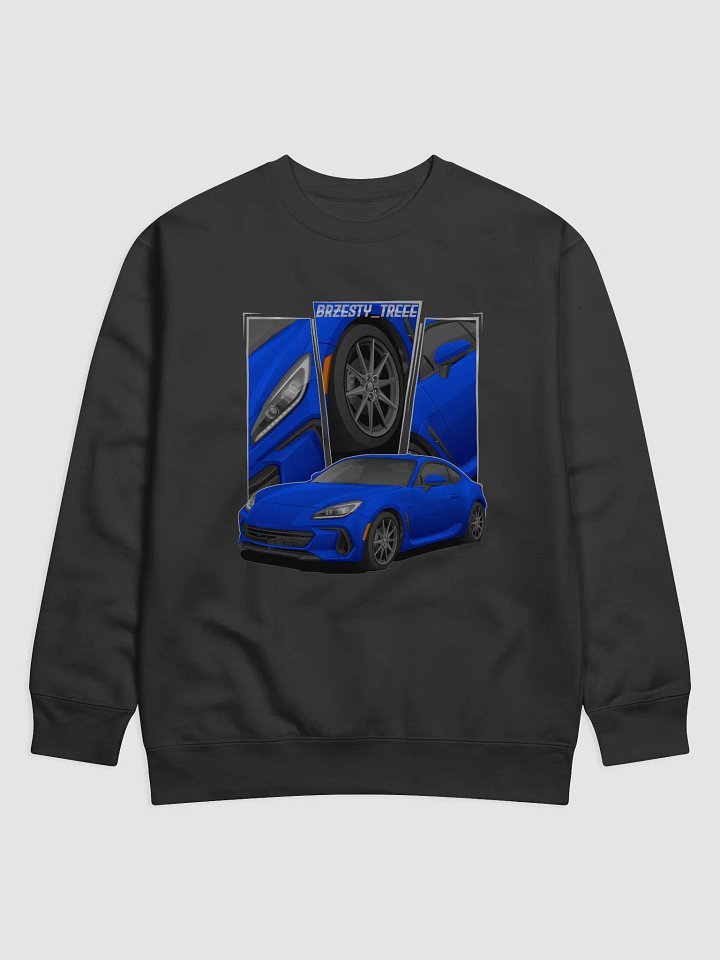 Sweatshirt - Brzesty-treee product image (3)