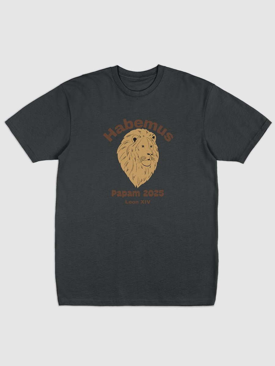 Habemus Papam 2025 Tee product image (3)