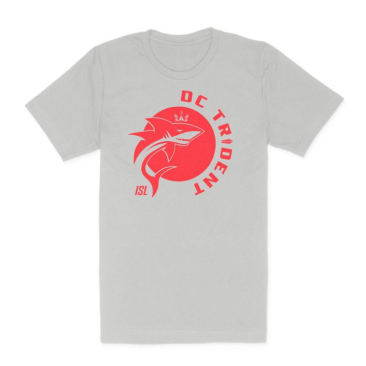 DC Trident Logo Gray T-Shirt product image (1)