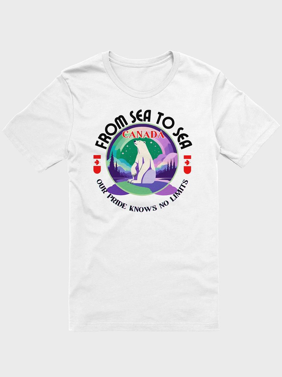 Northern Lights Pride T-Shirt product image (17)