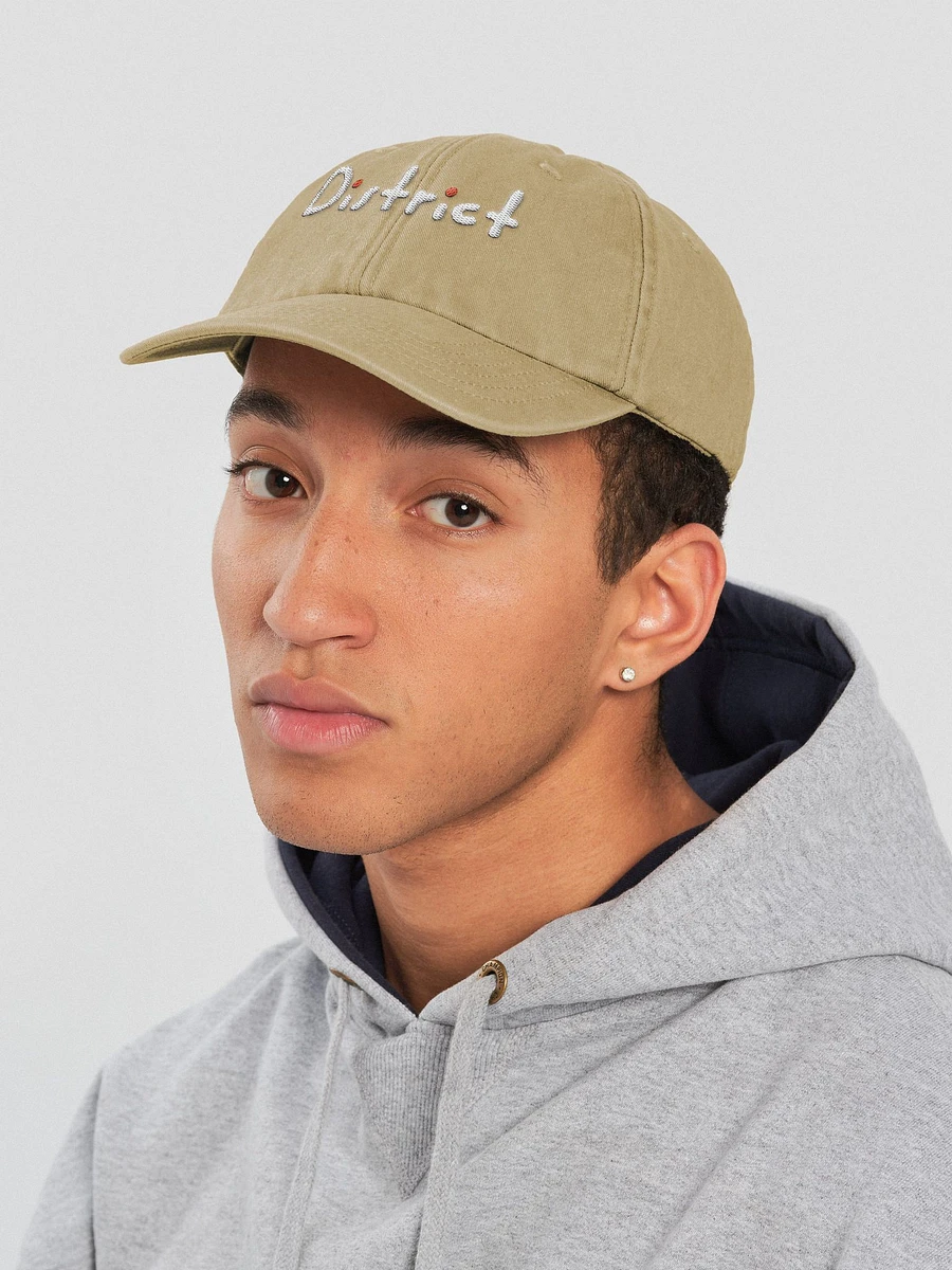 Vintage District Cap product image (24)