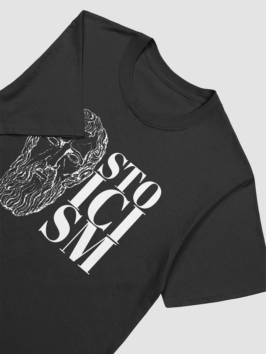 Stoicism T-Shirt product image (4)