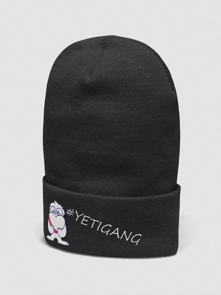 YETIGANG BEANIE product image (2)