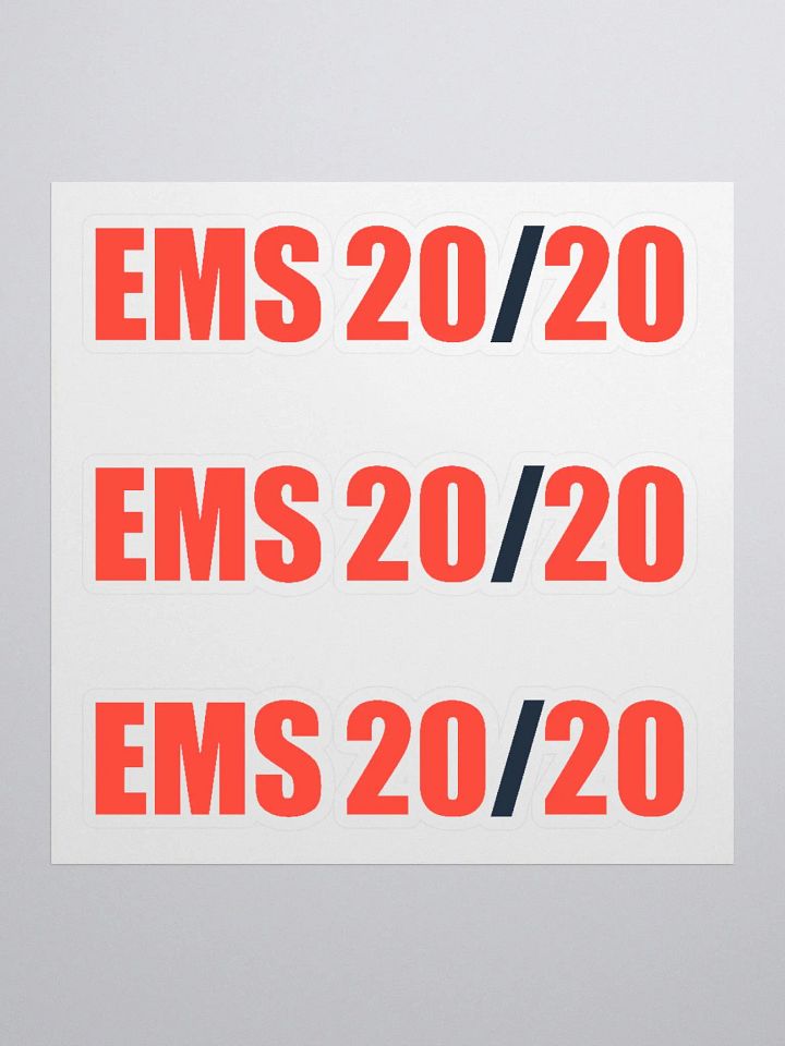EMS 20/20 Stickers - Set of 3 product image (1)