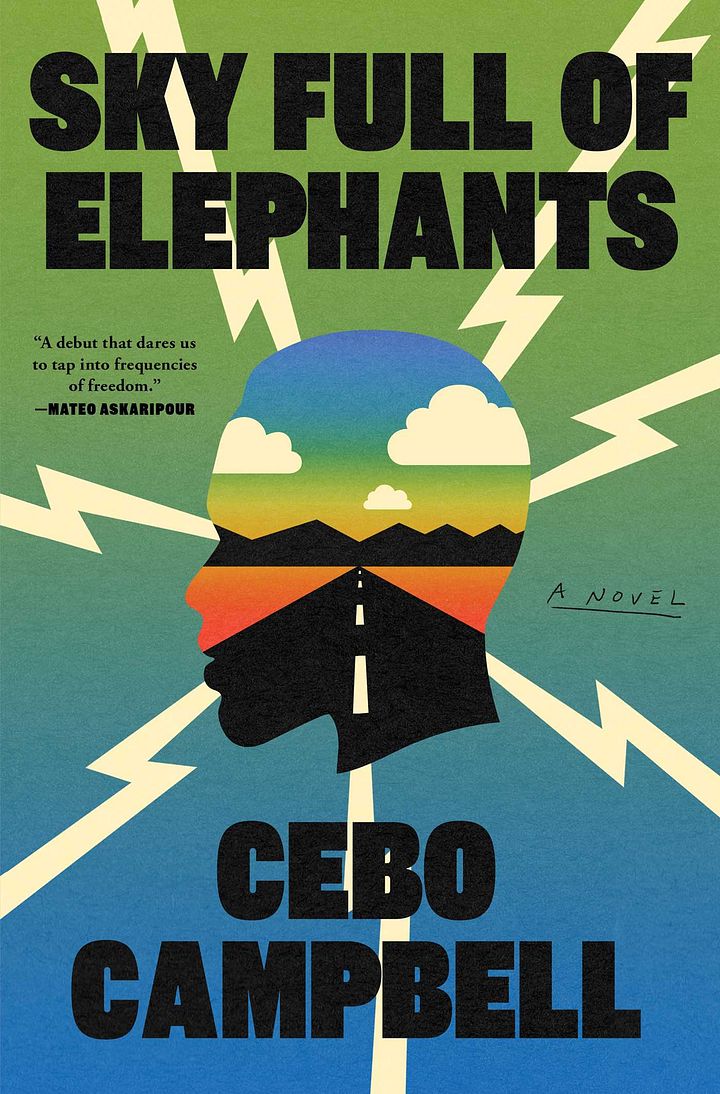 FALL 2024 | Sky Full of Elephants: A Novel by Cebo Campbell product image (1)