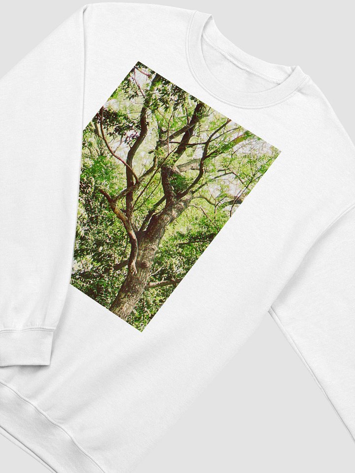 Earth tone DIVINE MUSIC sweatshirt product image (2)