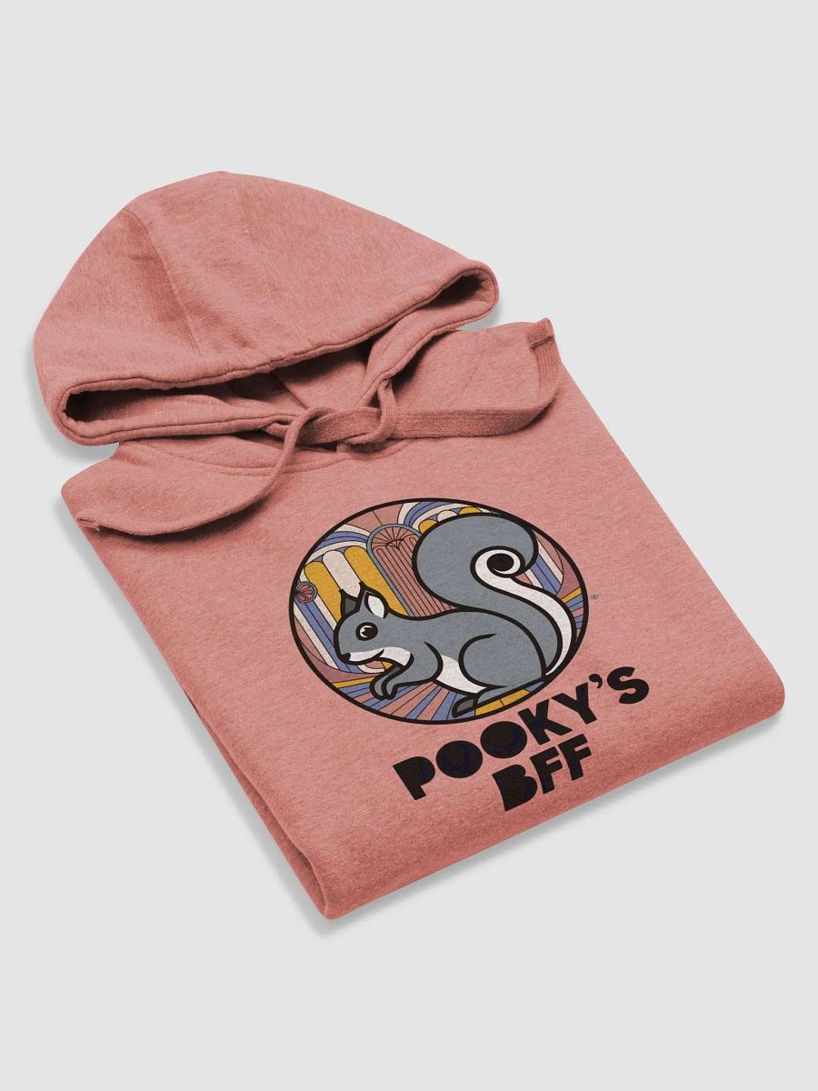 Super Soft Hoodie: Pooky's BFF, Art Deco, Grey Squirrel in Circle product image (5)