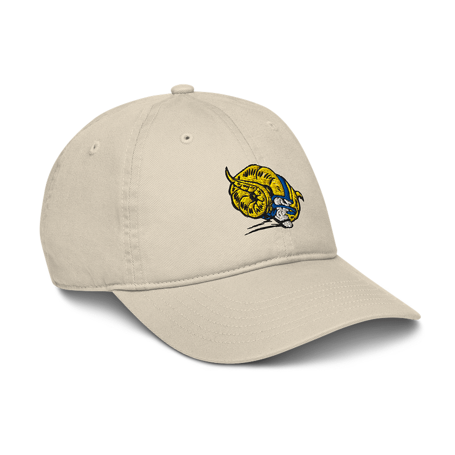 GRB EMBROIDERED CAP product image (6)