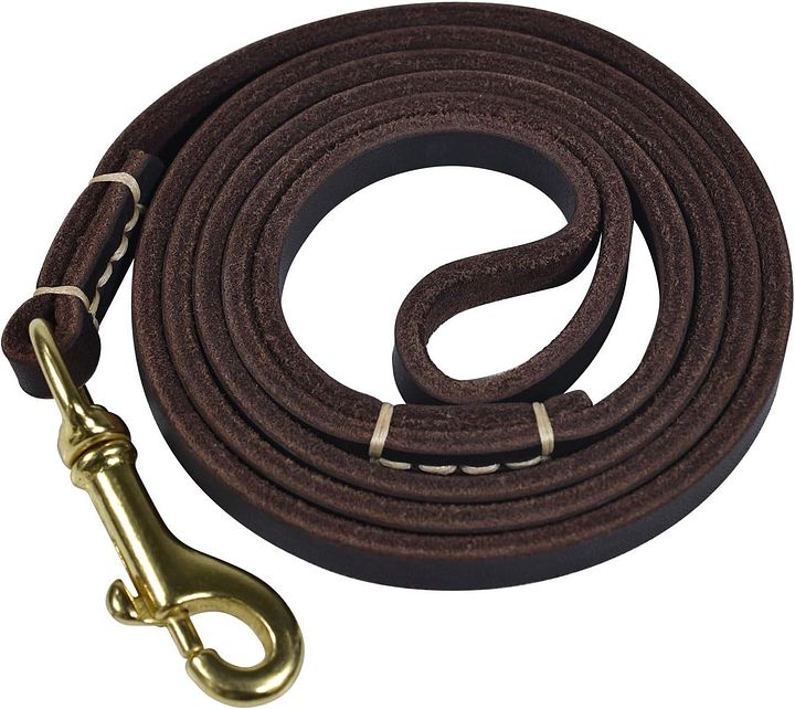Dog Obedience Leash product image (1)