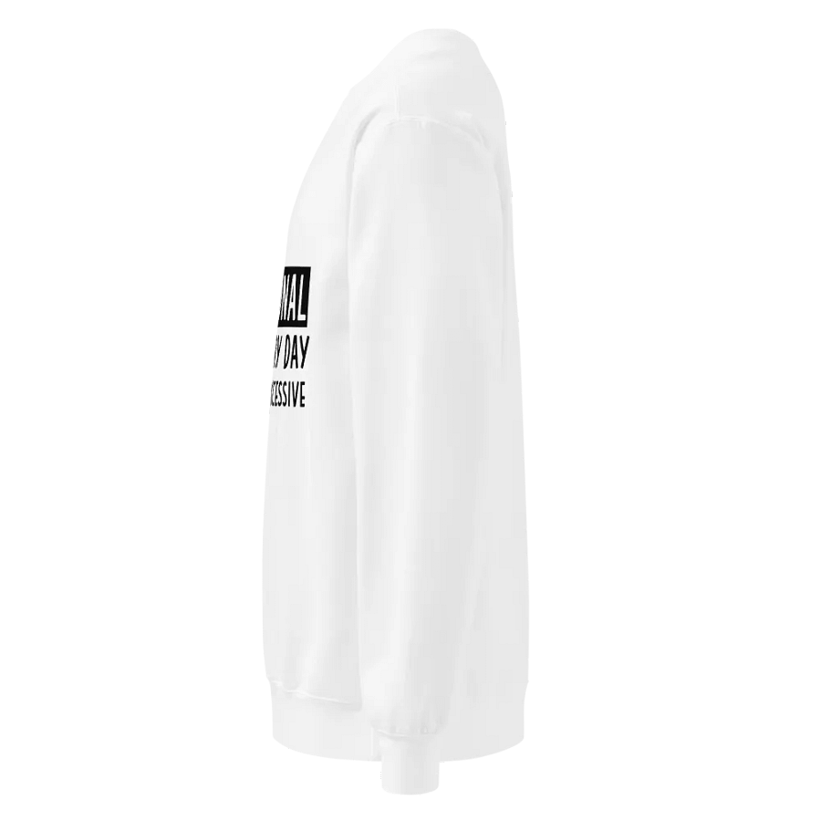Functional Sweatshirt product image (3)