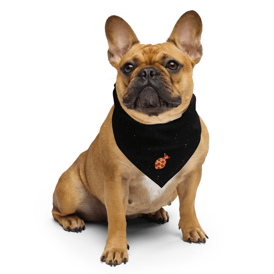 Spaced Bandana product image (6)
