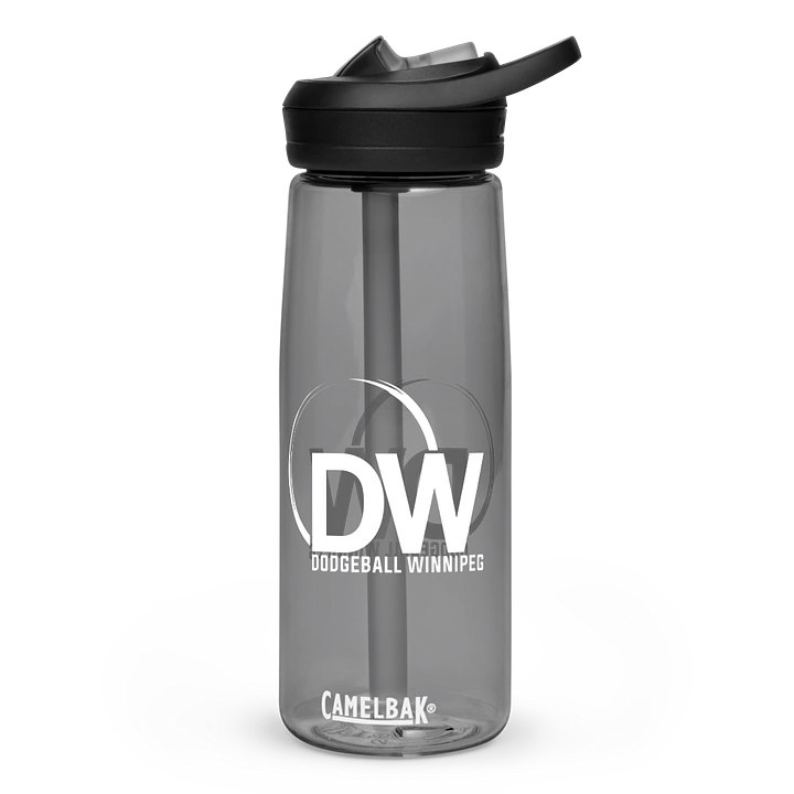 Dodgeball Winnipeg Water Bottle product image (1)