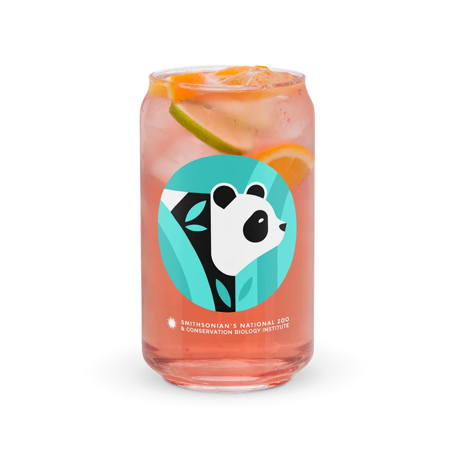 Pandas Are Here Glass (Teal) Image 2