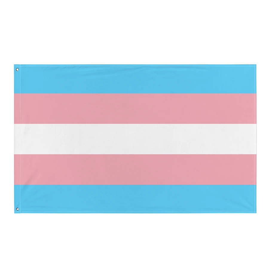 Trans Pride Flag product image (1)