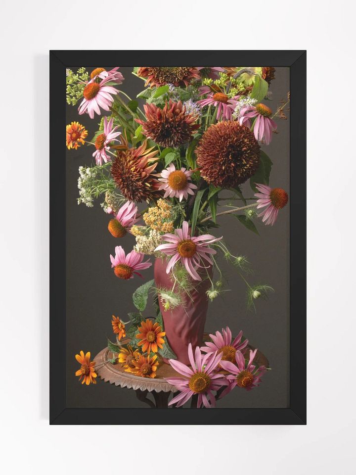 Echinacea Summer product image (1)