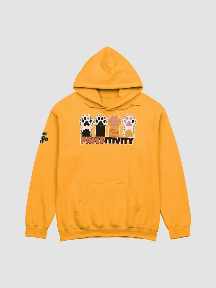 Pawsitivity Hoodie product image (1)