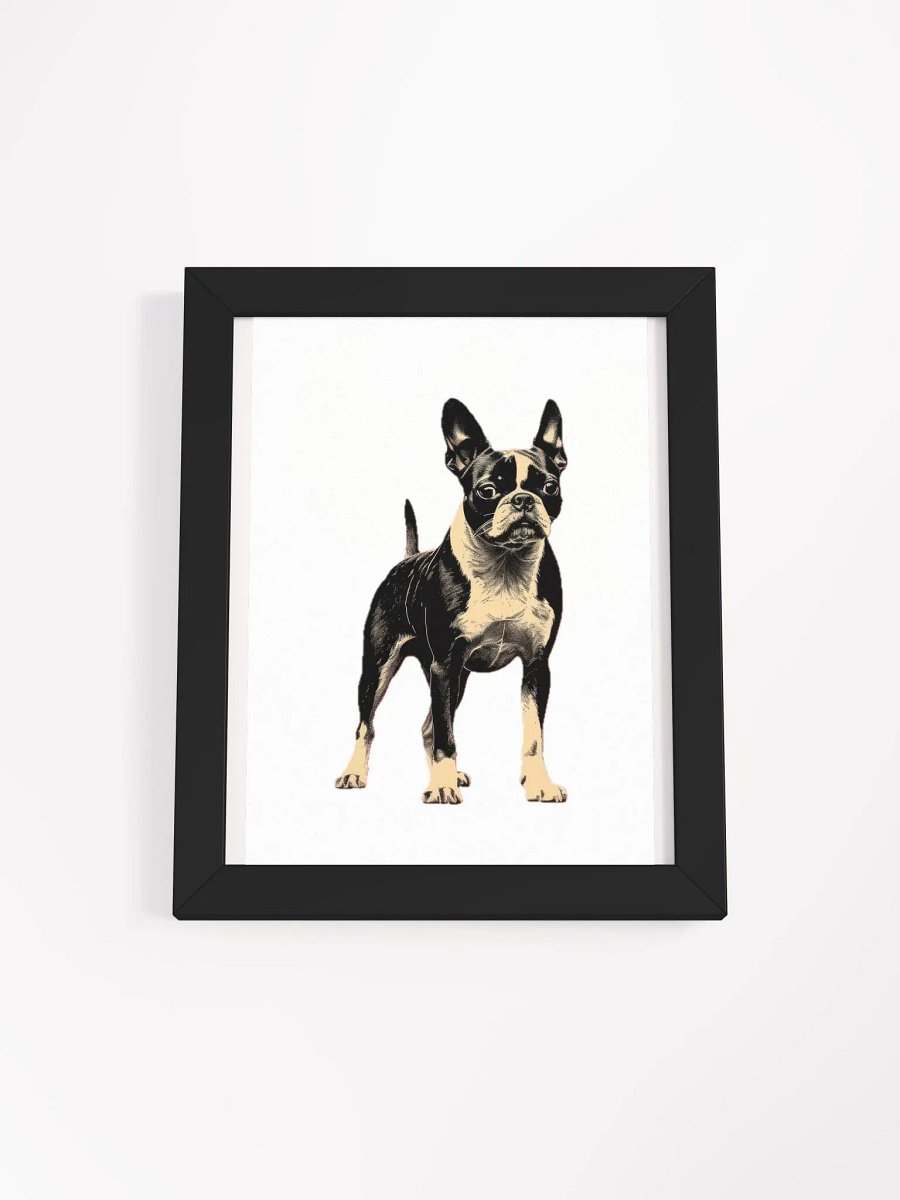 Boston Terrier product image (5)