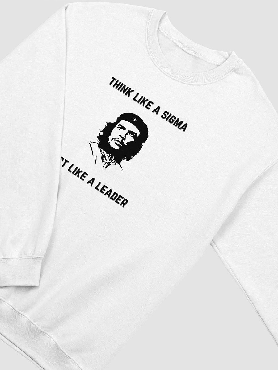Think like a Sigma, Act like a Leader product image (11)