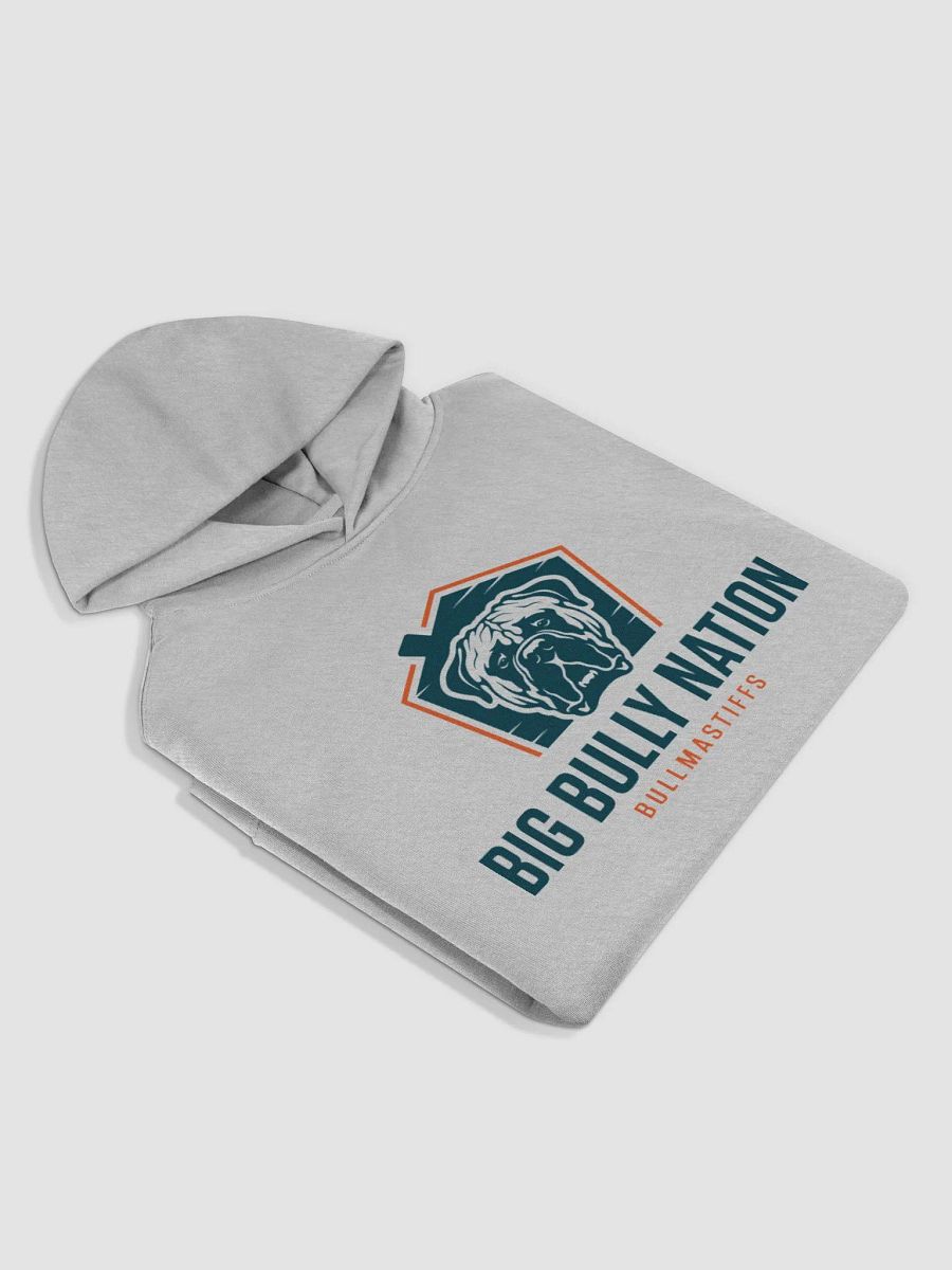 BBN Unisex Oversized Hoodie product image (3)