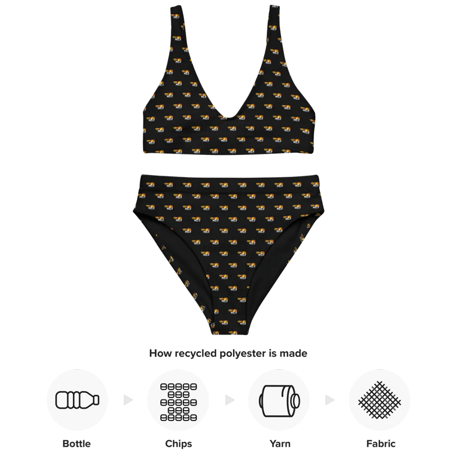 MSLA Logo High Waisted Bikini product image (8)