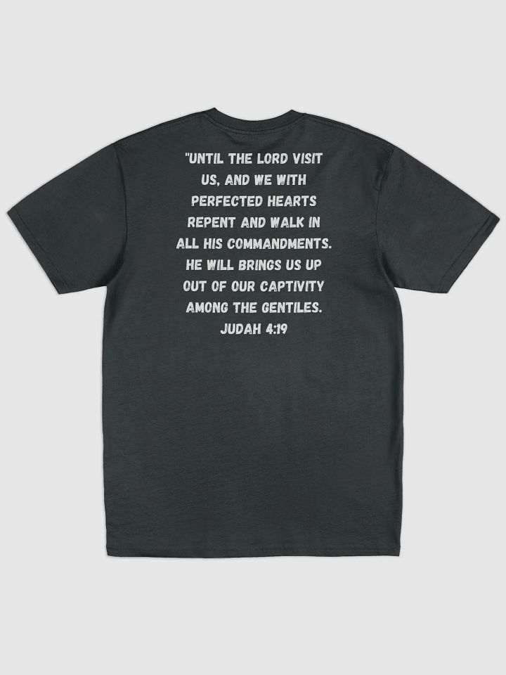 PHS (BLK) Tee Shirt product image (2)