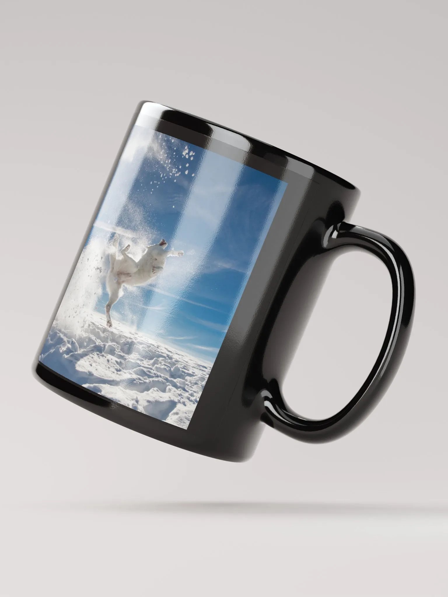 Kung-Fu Rasta product image (4)