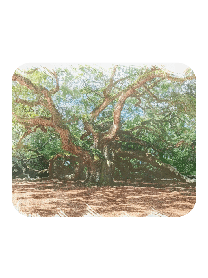 The Angel Oak of Charleston, SC Watercolor Mousepad product image (1)